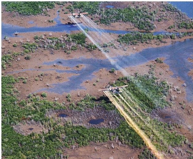 <strong>What was Agent Orange? </strong> A) A chemical agent deployed by the United States during the Vietnam War B) A chemical agent deployed by the North Vietnamese during the Vietnam War C) The name of the most successful U.S.mission during the Vietnam War D) A nickname U.S.soldiers called President Nixon during the Vietnam War
