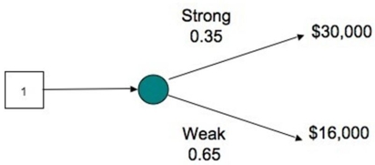 <strong>The decision tree shows the profit outcomes for a toy store in a strong and a weak economy for next year. If the economy turns out to be weak, how much profit is the store likely to lose out? </strong> A) $14,000 B) $16,000 C) $30,000 D) $15,000