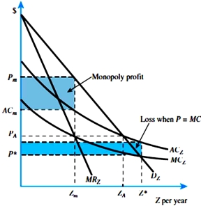 <strong>Refer to Figure 16.3 below.When the MC<sub>z</sub> line crosses the D<sub>z</sub> line,profits for the firm are </strong> A) 0. B) greater than 1. C) less than 0. D) ∞.