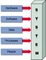 -In the accompanying figure showing the components of an information system, _________________________ consist(s) of everything in the physical layer of the information system.