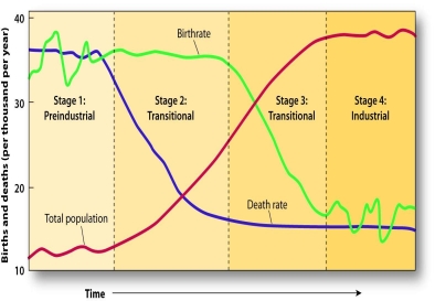 -What stage of the Demographic Transition produces a rapid rise in the rate of natural increase?