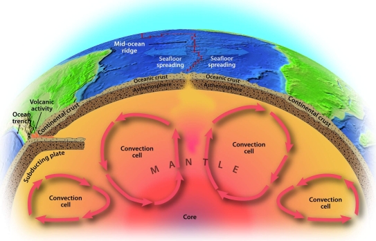 <strong>Beneath Earth's surface, where does the heat exchange occur that moves tectonic plates? Refer to the figure below. </strong> A) Continental crust B) Ocean trenches C) Convection cells D) Subducting plate E) Mid-ocean ridge