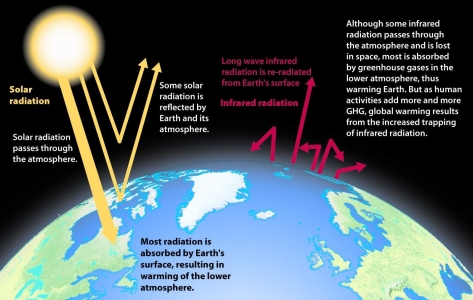 <strong>Where is solar radiation trapped in the Greenhouse Effect? Refer to the figure below. </strong> A) Oceans B) Outer space C) Lower atmosphere D) High latitudes E) Low latitudes