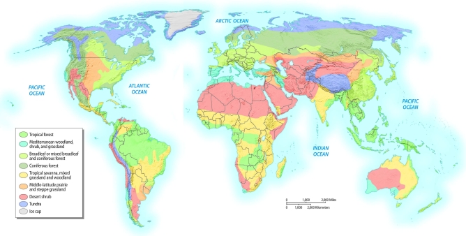 <strong>Based on the map of bioregions below, what type of bioregion is most often found along the equator? </strong> A) broadleaf or mixed broadleaf and coniferous forest B) coniferous forest C) tundra D) tropical forests E) Mediterranean woodland