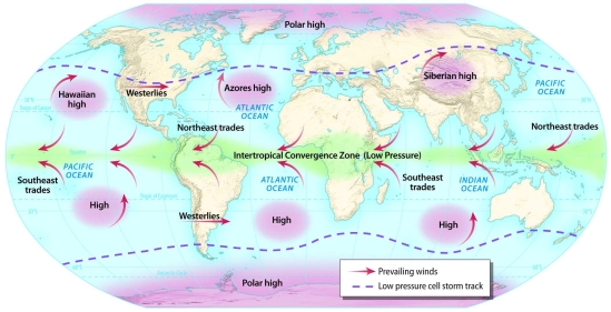 <strong>Based on map showing global pressure systems, what is the general direction of wind flow in the higher latitudes? </strong> A) from south to north B) from north to south C) from west to east D) from east to west E) There is no pattern.