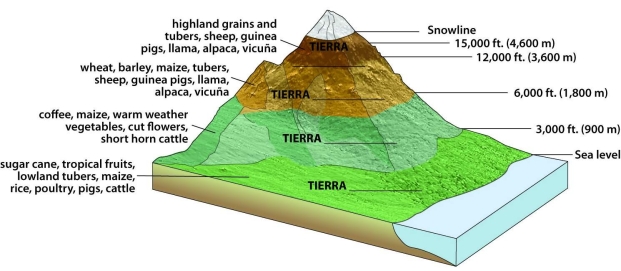<strong>What is the correct order of ecosystems in altitudinal zonation, starting at lowest elevation and going to highest elevation? </strong> A) (1) tierra helada; (2) tierra caliente; (3) tierra templada; (4) tierra fria B) (1) tierra fria; (2) tierra helada; (3) tierra caliente; (4) tierra templada C) (1) tierra templada; (2) tierra fria; (3) tierra helada; (4) tierra caliente D) (1) tierra templada; (2) tierra helada; (3) tierra caliente; (4) tierra fria E) (1) tierra caliente; (2) tierra templada; (3) tierra fria; (4) tierra helada