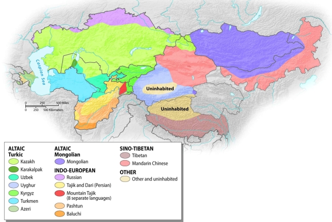 <strong>What is the most common language group in Central Asia, based on the number of native speakers?  </strong> A) Farsi B) Indo-European C) Mongolian D) Tibetan E) Turkic <div style=padding-top: 35px> 