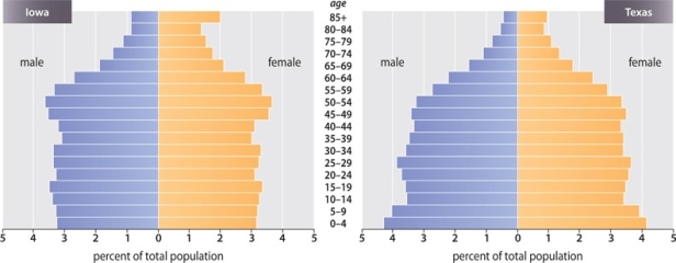 <strong>Using the graphic below, what is the primary difference between the populations of Iowa and Texas? </strong> A)The population of Iowa is older. B)Texas has a much lower birth rate. C)The influx of immigrants into Iowa is making the population younger. D)Texas has a higher percentage of both older males and females. E)There is no difference: the populations of the two states are nearly identical.