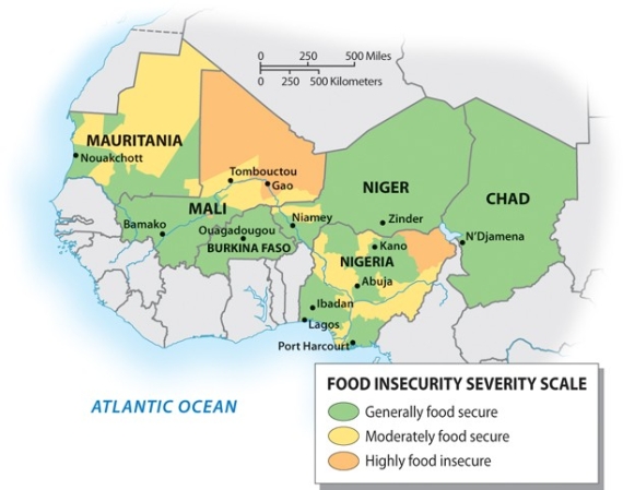 <strong>Looking at the graphic below, which of the following countries has the highest risk of food insecurity? </strong> A)Niger B)Chad C)Mali D)Mauritania E)Burkina Faso