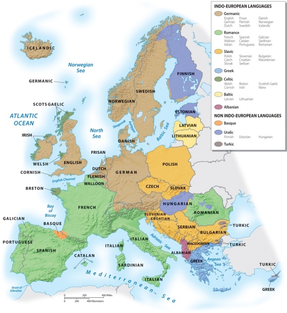 <strong>According to the graphic below, which of the following are the two language subfamilies found in the British Isles? </strong> A)Germanic and Slavic B)Celtic and Germanic C)Romance and Germanic D)Celtic and Romance E)Romance and Slavic