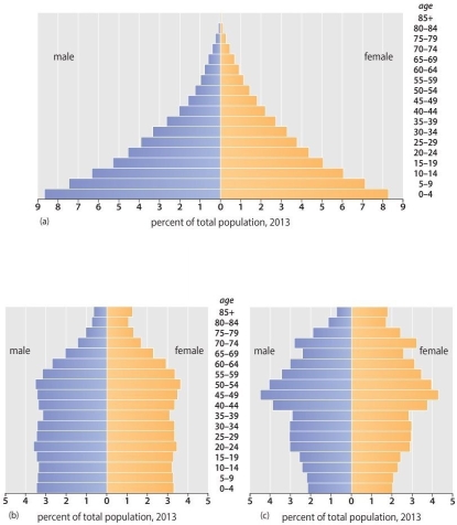 <strong>The population pyramid below is characteristic of what kind of growth rate? </strong> A) slow growth B) zero growth C) rapid growth D) negative growth E) It is impossible to tell the growth rate based on the shape of a population pyramid.