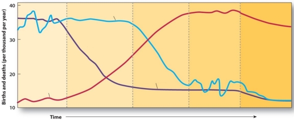 In the Demographic Transition,birthrates are equal to death rates in Stage 1 and Stage 2.