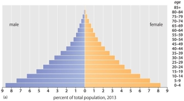 A population pyramid with a wide base and a narrow peak is characteristic of a slow growth rate.