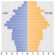 A population pyramid such as the one below is associated with a negative growth rate.