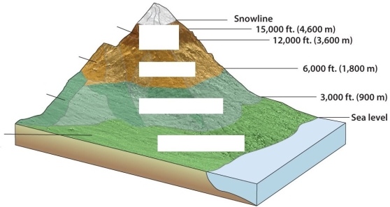 Label the altitudinal zonation and discuss how the environmental lapse rate affects the economic activities that can be pursued at different elevations.