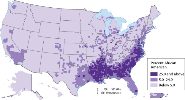 <strong> An analysis of this map indicates that African Americans are clustered in what part of Colorado?</strong> A) the eastern half of the state B) the southwest C) the western half of the state D) the southern part of the state E) the western mountains
