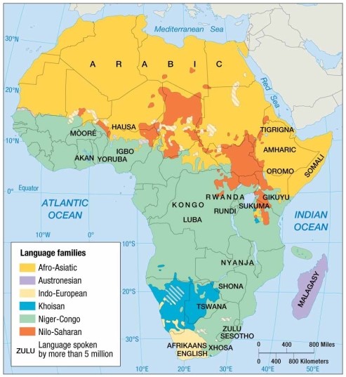<strong> The most important language family in Sub-Saharan Africa is</strong> A) Khoisan. B) Niger-Congo. C) Nilo-Saharan. D) Afro-Asiatic. E) Altaic.