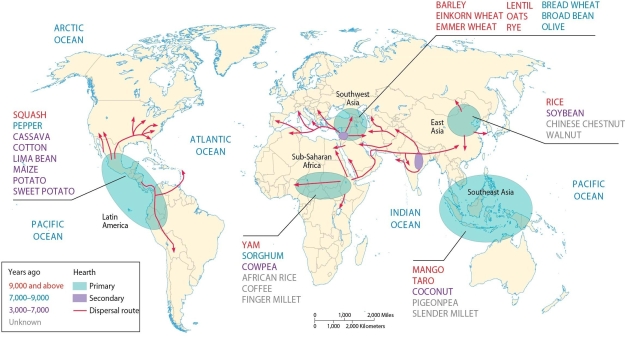 <strong> The map of crop hearths indicates that</strong> A) maize, potatoes, squash, and peppers were first domesticated in the Americas. B) specific crops can be grown only in and near their crop hearths. C) potatoes, peppers, and sorghum were first domesticated in Europe. D) coconuts, pigeonpeas, maize, and tomatoes were first domesticated in Southeast Asia. E) soybeans, rice, squash, coconuts, and sorghum were first domesticated in East Asia.