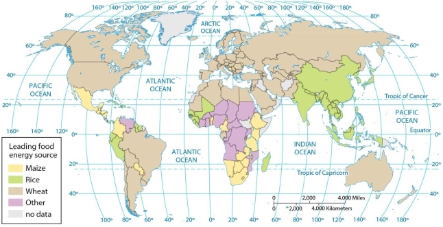 <strong> According to the map of dietary energy by source, rice is the leading energy source in</strong> A) Peru, India, and Ecuador. B) Pakistan, Iran, and India. C) Algeria, Sudan, and Ethiopia. D) Bolivia, Peru, and Brazil. E) Peru, Brazil, and Mexico.