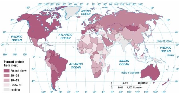 <strong> According to the map of protein from meat, meats provide at least 25 percent of the protein consumed in</strong> A) Brazil, Argentina, and Spain. B) Ethiopia, Iran, and India. C) Argentina, Australia, and South Africa. D) Brazil, Australia, and India. E) Brazil, Canada, and India.