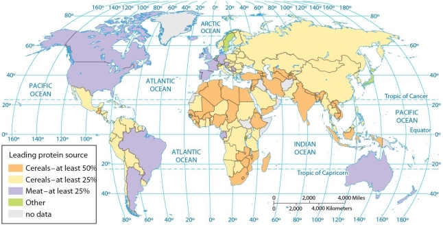 <strong> According to the map of protein sources, cereals provide at least 50 percent of the protein consumed in</strong> A) Ethiopia and India. B) Ethiopia and Brazil. C) Egypt and Australia. D) Brazil and Egypt. E) Mexico and Argentina.