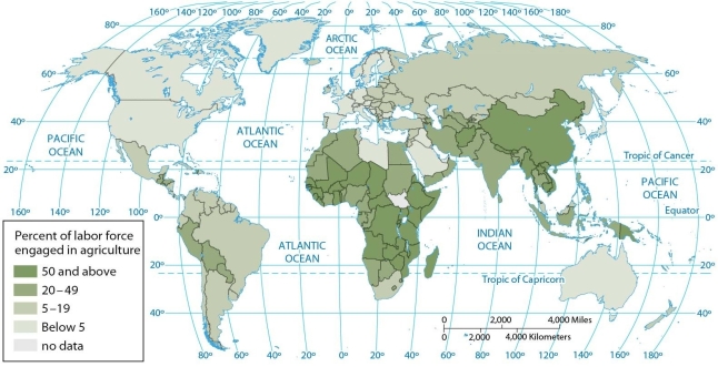 <strong> According to the map of agricultural workers, more than 50 percent of the labor force is engaged in agriculture in</strong> A) Kenya, Tanzania, and Zimbabwe. B) Afghanistan, Iran, and Iraq. C) Kenya, Namibia, and South Africa. D) Tanzania, Zimbabwe, and Nigeria. E) Chad, Libya, and Egypt.