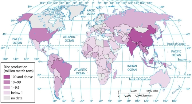 <strong> According to the map of world rice production, between 10 and 99 million metric tons of rice are produced annually in</strong> A) Brazil, Thailand, and the United States. B) China and India. C) Iran, Iraq, and Afghanistan. D) Brazil, Thailand, India, Japan, and China. E) the United States, China, and India.