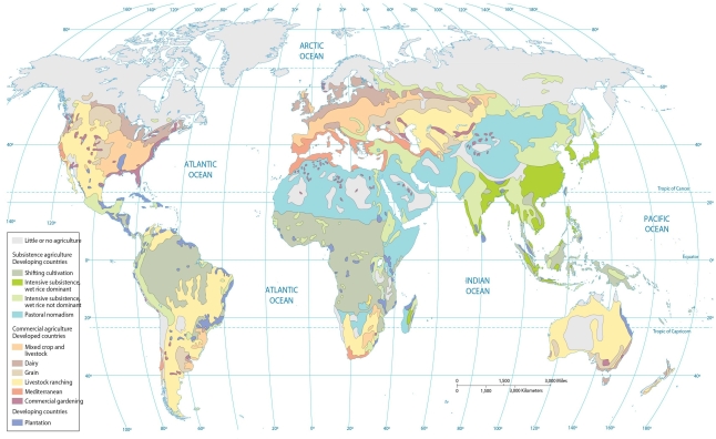 <strong> Judging from the map of agricultural regions, which type of agriculture occupies the largest percentage of southeastern China?</strong> A) mixed crop and livestock B) intensive subsistence C) shifting cultivation D) pastoral nomadism E) plantation