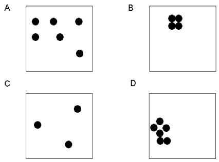 <strong> -In this figure, which two of the four boxes have the highest density of dots?</strong> A) A, B B) B, C C) C, D D) A, D E) all of these boxes have equivalent density