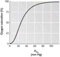 Llamas, which are customarily known as mountain dwellers, have hemoglobin with a higher O<sub>2</sub> binding affinity than that of humans. That being said, how would you predict the llama hemoglobin-O<sub>2</sub> dissociation curve would differ from that of a human? (See diagram below.)
