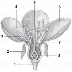   -In the figure, what is item number 3?