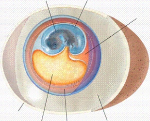   -In the diagram, what is the item labelled number 3?
