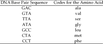 Assume the following three-base code system is true: Construct the amino acid sequence coded by the following piece of a DNA molecule: T T A A T A G C C G C C G A C