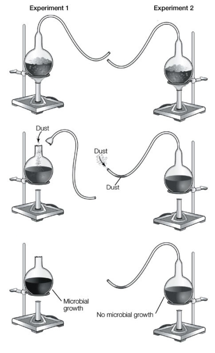 <strong>The experiment depicted in the diagram below proves that </strong> A) amino acids are the building blocks of life. B) some forms of life can arise by spontaneous generation. C) oxygen is needed for life. D) life comes from decaying matter. E) life comes from preexisting life.