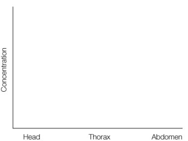 Using the information in the graph below, draw a diagram showing the concentration of nanos and bicoid mRNA in a Drosophila embryo from the anterior to the posterior ends.