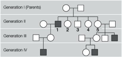 Refer to the diagram below showing a pedigree of a sex-linked recessive trait. In generation II, female number 5 marries a man and has three children. One daughter and one son do not have the recessive trait; the other son does have the recessive trait. Based on these results, one can conclude that