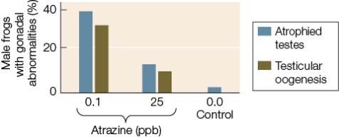 <strong>Refer to the graph below showing the results of a study that exposed male frogs to atrazine, a chemical used in killing weeds in agricultural areas. According to the data in the graph, higher atrazine concentrations do not result in a higher rate of gonadal abnormality.Which conclusion can be drawn from these results?</strong> A) Low levels of atrazine are not as dangerous to amphibians as high levels of atrazine. B) A dosage of 15 ppb would cause a rate of abnormality between the one caused by the 0.1 ppb dosage and the one caused by the 25 ppb dosage. C) The effect of the atrazine exposure is not proportional to the level of exposure. D) Atrazine is only hazardous in a natural ecosystem, where it is naturally diluted in the waterways. E) Atrazine usage should be banned.