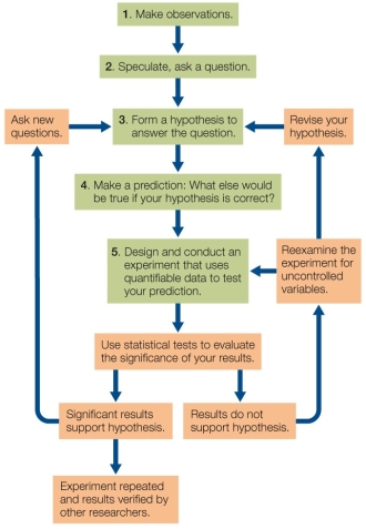 Refer to the diagram below showing the steps in the scientific method. Step 4 illustrates the use of _______ logic.