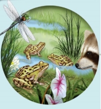 Refer to the image below, which shows a group of organisms. According to the hierarchy of biological systems, what level is represented by this group of organisms? Explain your reasoning.If nonliving components such as soil, oxygen, carbon dioxide, and water are included with these organisms, what level is represented? Explain.
