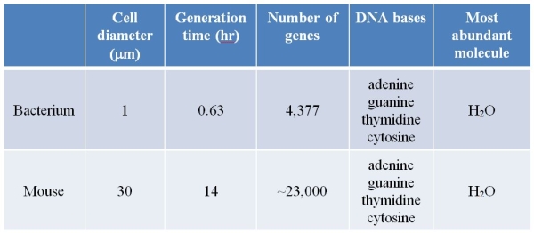 Refer to the table below. Which data provide evidence that these two organisms have a common origin?