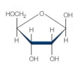 <strong>Which is an example of a nucleotide?</strong> A) B) C) D) E)