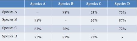 <strong>Refer to the table below showing the percent overlap in genomic sequences between species pairs. Which two species are most closely evolutionarily related, and which two are most distantly related?</strong> A) Species A and D are most closely related, while species B and C are most distantly related. B) Species B and C are most closely related, while species A and D are most distantly related. C) Species A and B are most closely related, while species B and D are most distantly related. D) Species C and D are most closely related, while species A and C are most distantly related. E) Species A and B are most closely related, while species B and C are most distantly related.