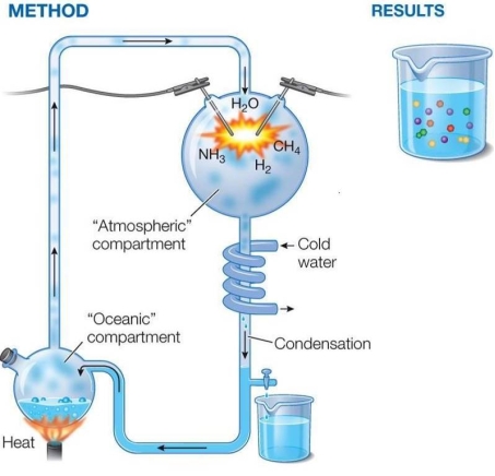 <strong>Refer to the figure below showing the Miller‒Urey experiment. The experiment, which was performed in the 1950s,</strong> A) showed that Earth's early environment had an atmosphere of N<sub>2</sub>, NH<sub>3</sub>, CH<sub>4</sub>, H<sub>2</sub>O, and H<sub>2</sub>. B) showed that Earth's early atmosphere consisted of a combination of gases that is different from the one that exists today. C) proved that carbon dioxide was present in Earth's early atmosphere. D) demonstrated prebiotic synthesis of small molecules of life. E) led to no meaningful conclusions, because there was no lightning in Earth's early environment.