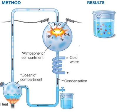 <strong>Refer to the figure below showing the Miller‒Urey experiment. Research conducted later than the Miller‒Urey experiment showed that volcanic activity 4 billion years ago injected other gases, such as SO<sub>2</sub>, into Earth's early environment.This information led to the conclusion that</strong> A) the original Miller-Urey experiment did not produce meaningful data. B) a modified experiment should be performed in which other gases would be added to the initial heated solution. C) the experiment required a longer running time to see whether the other gases would be produced. D) the beaker of condensed liquid and compounds should be heated in the presence of the additional gases. E) the Miller‒Urey experiment did not require modification, since cellular life existed earlier than 4 billion years ago.