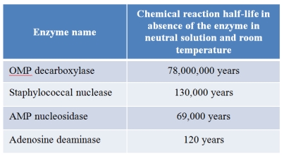 Refer to the table below listing protein enzymes found in modern cells.The half-lives of the chemical reactions catalyzed by these enzymes within cells are on the order of seconds to milliseconds or less.The half-lives of these same chemical reactions in the absence of their enzymes are listed in the table.The half-life of a chemical reaction is the time it takes for half of the reactants to be converted to products, so you can use these data to compare the rates of catalyzed reactions to their noncatalyzed counterparts. Can these data be used to justify the need for catalysts in the origin of life? Explain.