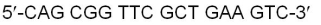 What is the sequence of the complementary strand of RNA made from the template DNA sequence below? (Note: Spaces between nucleotides have no purpose but to make the sequences easier to read.)