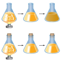 Refer to the figure below, showing two flasks of broth that were prepared and heated to boiling.Immediately after heating, one flask was left open and the other was sealed with a cork.Both flasks were allowed to cool and then left undisturbed for several days.Only one of the flasks developed a cloudy appearance, as shown. When these results were presented as proof against spontaneous generation, a criticism was raised about the design of the experiment.Which is a valid criticism in this case?