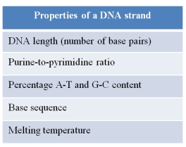 A scientist has isolated a strand of DNA from a fungus and plans to characterize its properties.She has made a list of these properties in the table below. If the scientist wants to explore the evolutionary relationship between this fungus and another organism, she should use the _______ property of the DNA strand to carry out her analysis.