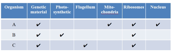 Refer to the table below summarizing the characteristics of three different single-celled organisms isolated from a frozen lake in Antarctica. Classify each organism as either a prokaryote or eukaryote, and explain your reasoning.