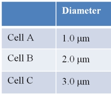 Refer to the table below. How do the surface area-to-volume ratios compare for the cells listed in the table, and which cell will have the most rapid transport of materials into its interior? Assume the cells are spherical.